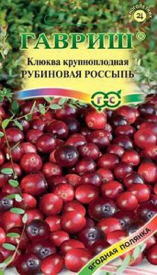 Клюква крупноплодная Рубиновая россыпь 30 шт.