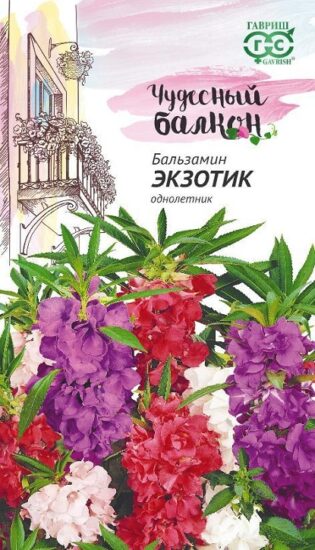 Бальзамин Экзотик (садовый) карлик. 0,1 г серия Чудесный балкон